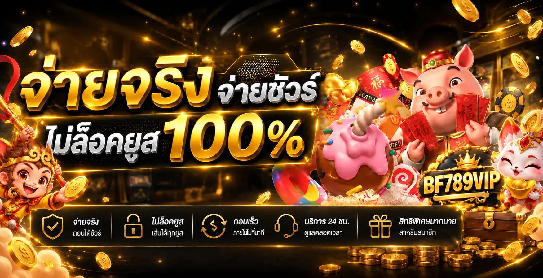 ข้อมูลระบบและความปลอดภัย BF789VIP